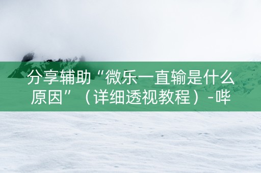 分享辅助“微乐一直输是什么原因”（详细透视教程）-哔哩哔哩