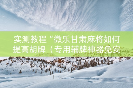 实测教程“微乐甘肃麻将如何提高胡牌（专用辅牌神器免安装）