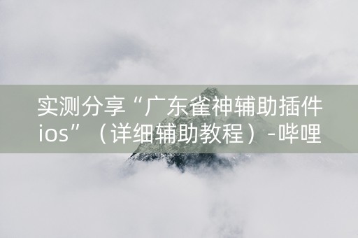 实测分享“广东雀神辅助插件ios”（详细辅助教程）-哔哩哔哩