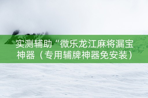 实测辅助“微乐龙江麻将漏宝神器（专用辅牌神器免安装）