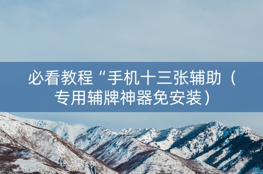 必看教程“手机十三张辅助（专用辅牌神器免安装）