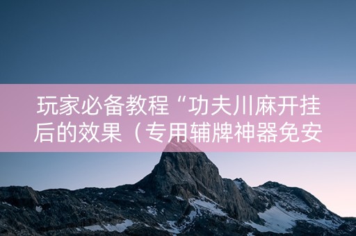 玩家必备教程“功夫川麻开挂后的效果（专用辅牌神器免安装）