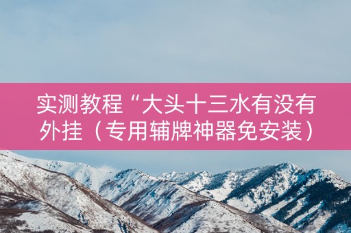 实测教程“大头十三水有没有外挂（专用辅牌神器免安装）
