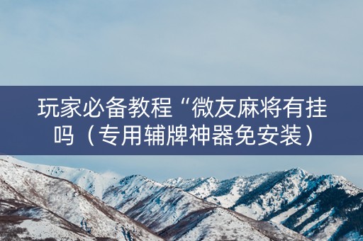 玩家必备教程“微友麻将有挂吗（专用辅牌神器免安装）