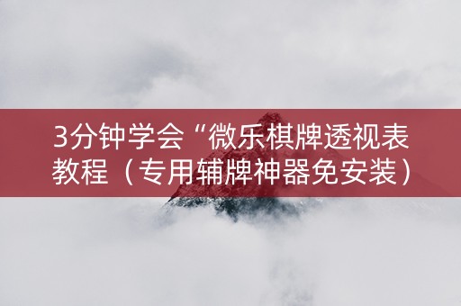 3分钟学会“微乐棋牌透视表教程（专用辅牌神器免安装）