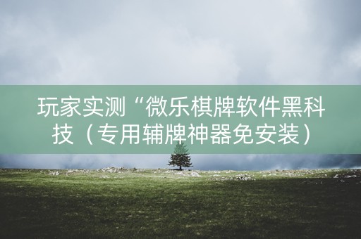 玩家实测“微乐棋牌软件黑科技（专用辅牌神器免安装）