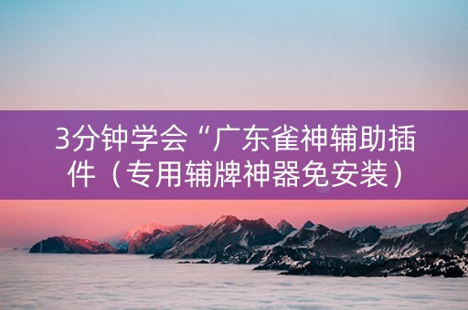 3分钟学会“广东雀神辅助插件（专用辅牌神器免安装）