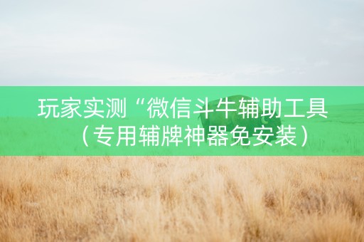 玩家实测“微信斗牛辅助工具（专用辅牌神器免安装）