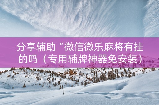 分享辅助“微信微乐麻将有挂的吗（专用辅牌神器免安装）