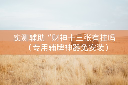 实测辅助“财神十三张有挂吗（专用辅牌神器免安装）