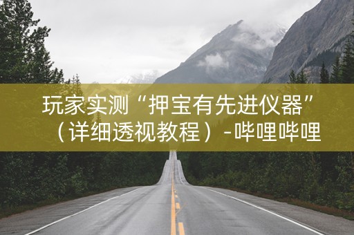 玩家实测“押宝有先进仪器”（详细透视教程）-哔哩哔哩