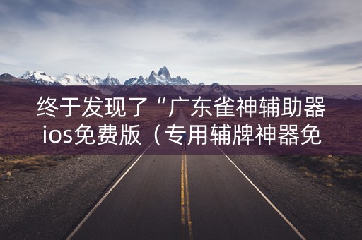终于发现了“广东雀神辅助器ios免费版（专用辅牌神器免安装）