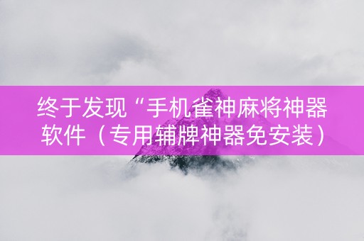 终于发现“手机雀神麻将神器软件（专用辅牌神器免安装）