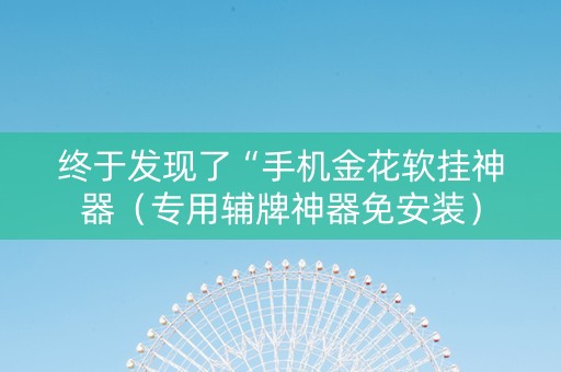 终于发现了“手机金花软挂神器（专用辅牌神器免安装）