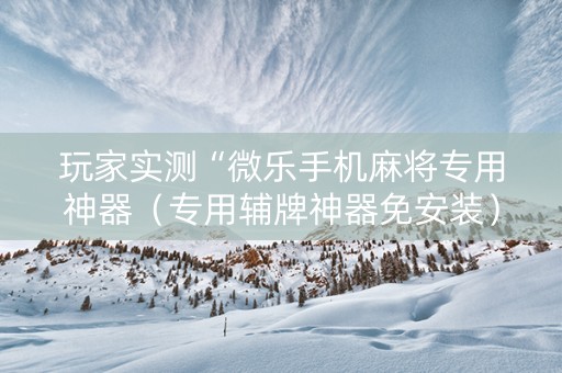 玩家实测“微乐手机麻将专用神器（专用辅牌神器免安装）