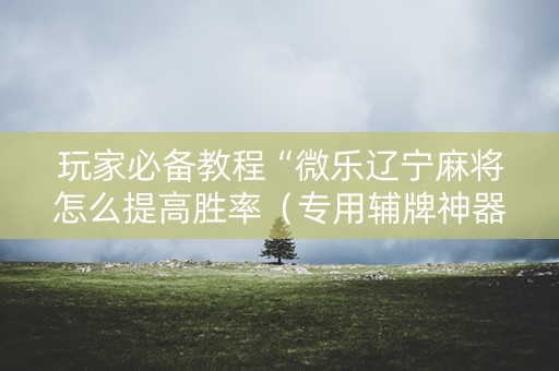 玩家必备教程“微乐辽宁麻将怎么提高胜率（专用辅牌神器免安装）