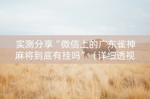 实测分享“微信上的广东雀神麻将到底有挂吗”（详细透视教程）-哔哩哔哩