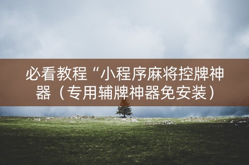 必看教程“小程序麻将控牌神器（专用辅牌神器免安装）
