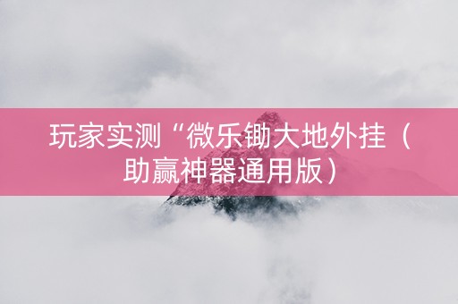 玩家实测“微乐锄大地外挂（助赢神器通用版）