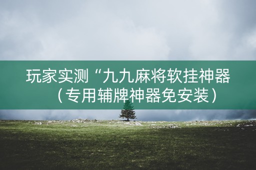 玩家实测“九九麻将软挂神器（专用辅牌神器免安装）