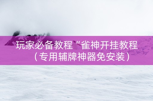 玩家必备教程“雀神开挂教程（专用辅牌神器免安装）