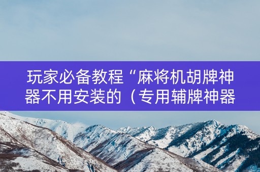 玩家必备教程“麻将机胡牌神器不用安装的（专用辅牌神器免安装）