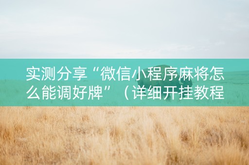 实测分享“微信小程序麻将怎么能调好牌”（详细开挂教程）-哔哩哔哩