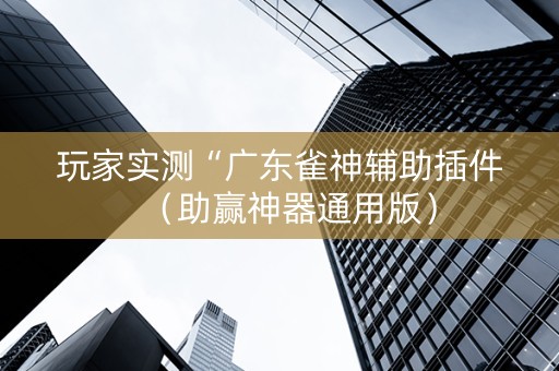 玩家实测“广东雀神辅助插件（助赢神器通用版）