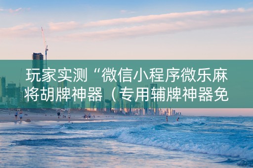 玩家实测“微信小程序微乐麻将胡牌神器（专用辅牌神器免安装）