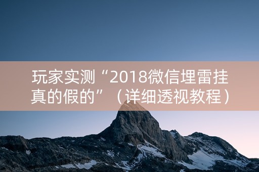 玩家实测“2018微信埋雷挂真的假的”（详细透视教程）-哔哩哔哩