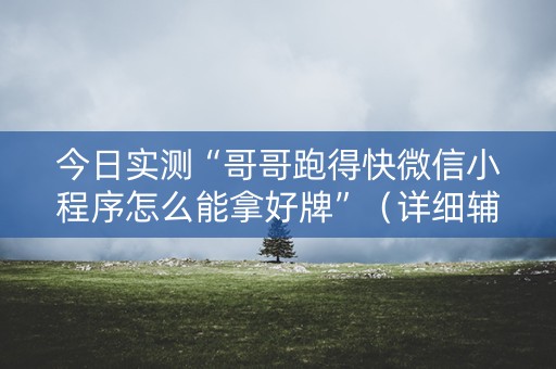 今日实测“哥哥跑得快微信小程序怎么能拿好牌”（详细辅助教程）-哔哩哔哩