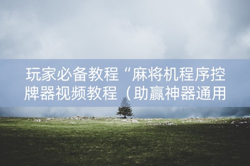 玩家必备教程“麻将机程序控牌器视频教程（助赢神器通用版）