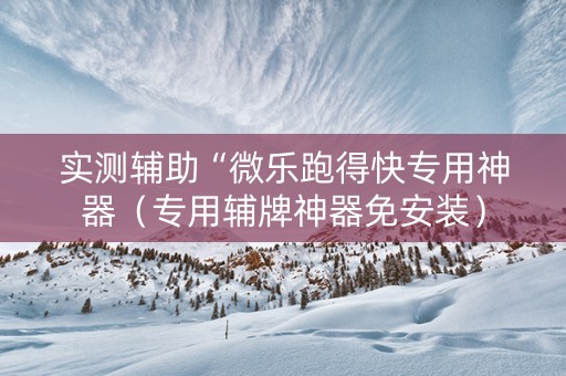 实测辅助“微乐跑得快专用神器（专用辅牌神器免安装）