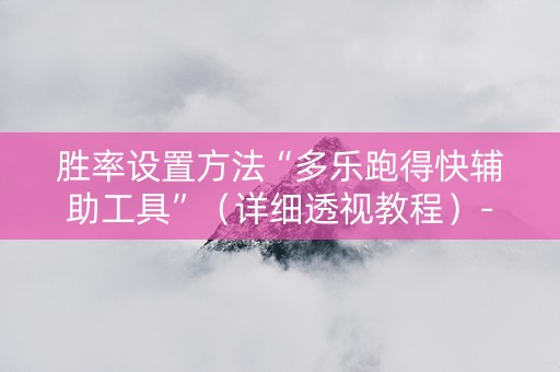 胜率设置方法“多乐跑得快辅助工具”（详细透视教程）-哔哩哔哩
