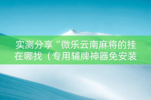 实测分享“微乐云南麻将的挂在哪找（专用辅牌神器免安装）