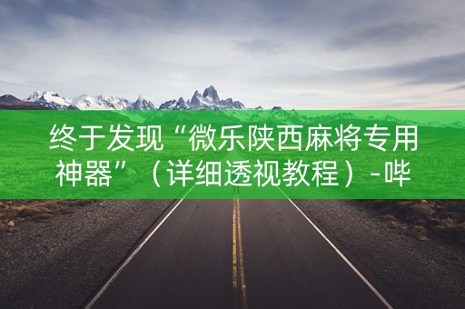 终于发现“微乐陕西麻将专用神器”（详细透视教程）-哔哩哔哩