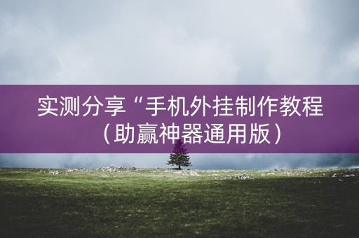 实测分享“手机外挂制作教程（助赢神器通用版）