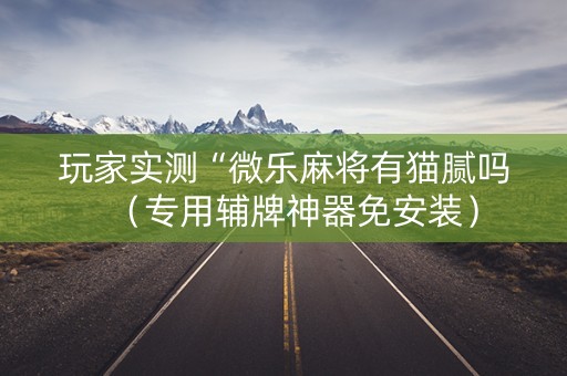 玩家实测“微乐麻将有猫腻吗（专用辅牌神器免安装）