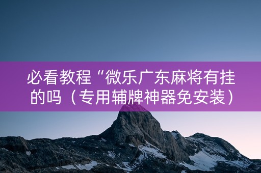 必看教程“微乐广东麻将有挂的吗（专用辅牌神器免安装）