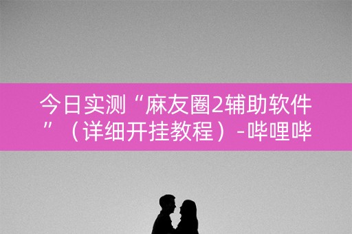 今日实测“麻友圈2辅助软件”（详细开挂教程）-哔哩哔哩