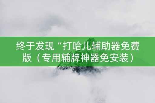 终于发现“打哈儿辅助器免费版（专用辅牌神器免安装）