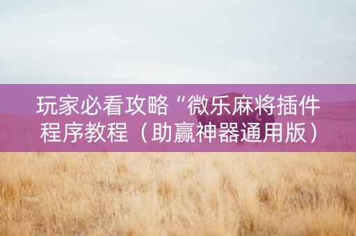 玩家必看攻略“微乐麻将插件程序教程（助赢神器通用版）