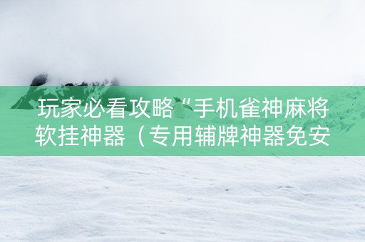 玩家必看攻略“手机雀神麻将软挂神器（专用辅牌神器免安装）