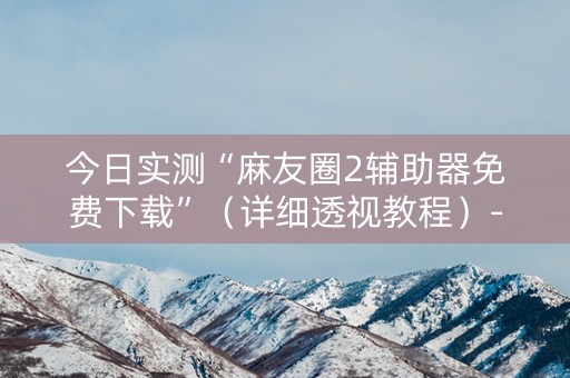 今日实测“麻友圈2辅助器免费下载”（详细透视教程）-哔哩哔哩