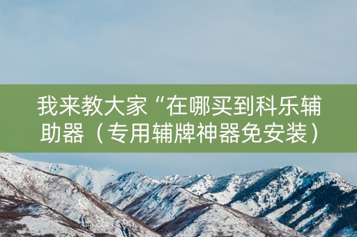 我来教大家“在哪买到科乐辅助器（专用辅牌神器免安装）