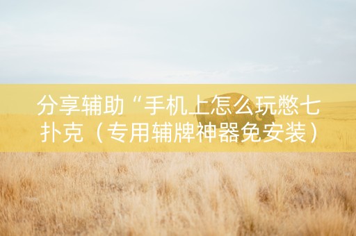 分享辅助“手机上怎么玩憋七扑克（专用辅牌神器免安装）
