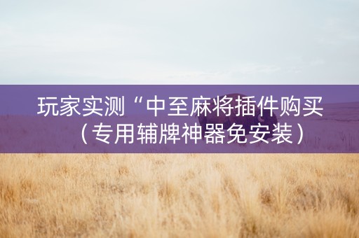 玩家实测“中至麻将插件购买（专用辅牌神器免安装）
