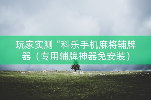 玩家实测“科乐手机麻将辅牌器（专用辅牌神器免安装）
