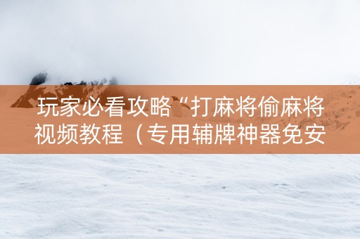 玩家必看攻略“打麻将偷麻将视频教程（专用辅牌神器免安装）