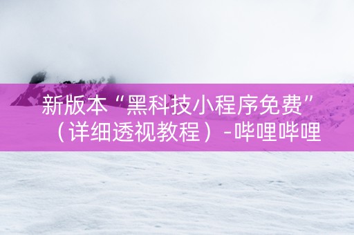 新版本“黑科技小程序免费”（详细透视教程）-哔哩哔哩